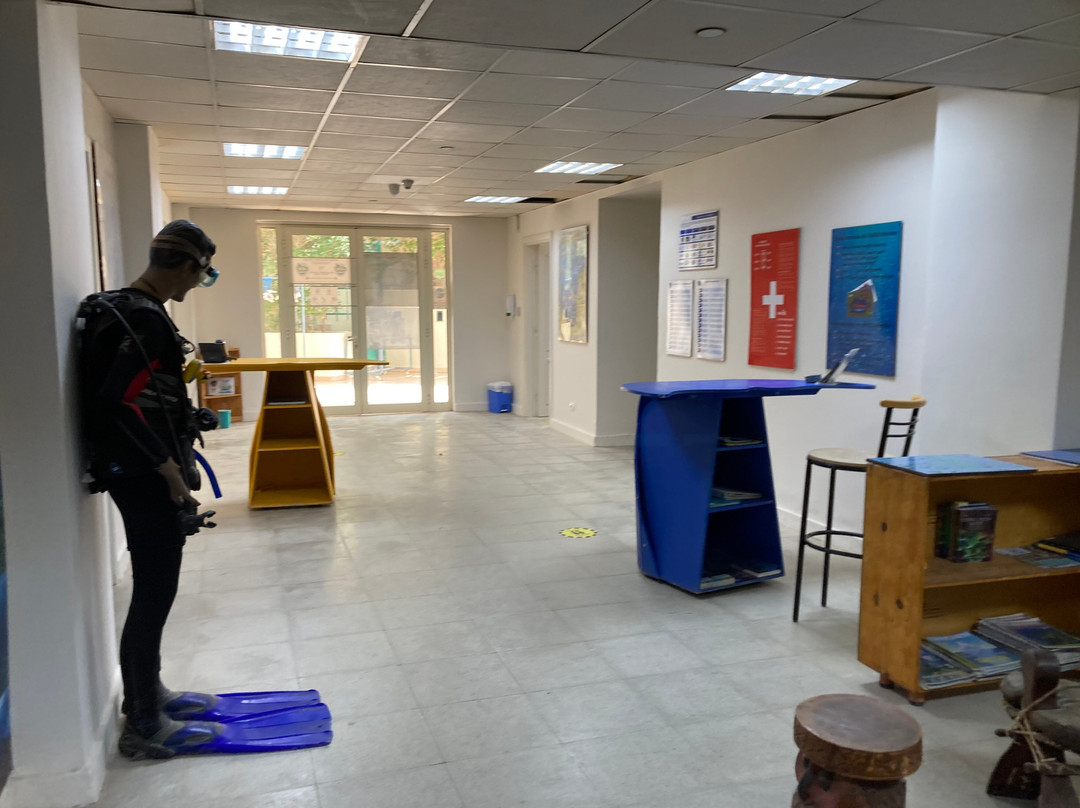 SUBEX Diving Center - Baron Palace-赫尔格达必去景点