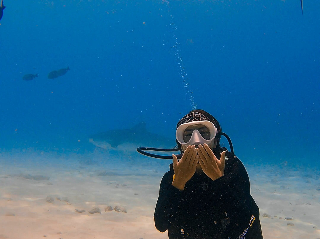 Scuba Butler Fuvahmulah景点图片