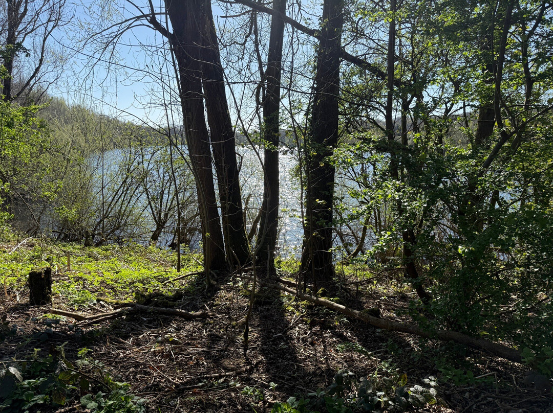 Clifton Country Park-Clifton必去景点