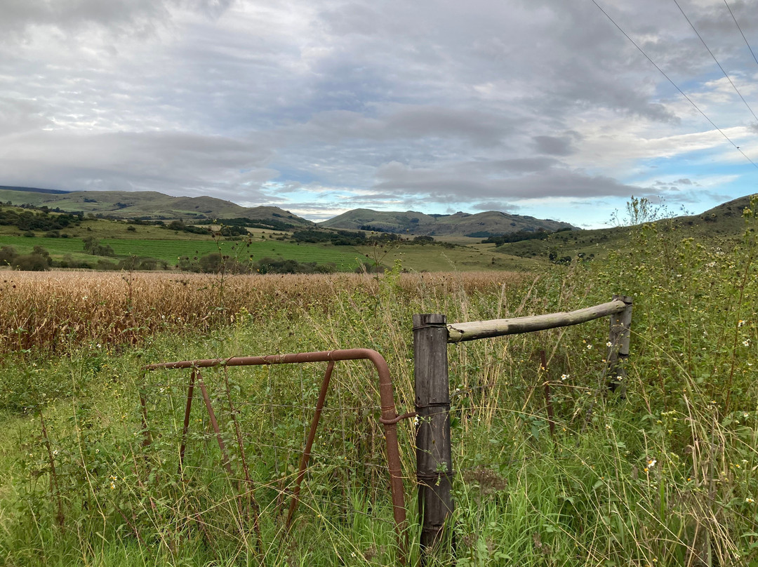 Stoneybrook Ranch Bed and Breakfast主图