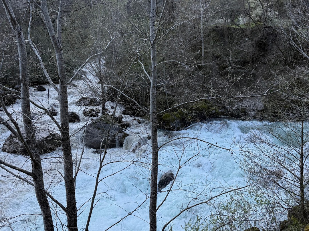 Tripsme-索契必去景点