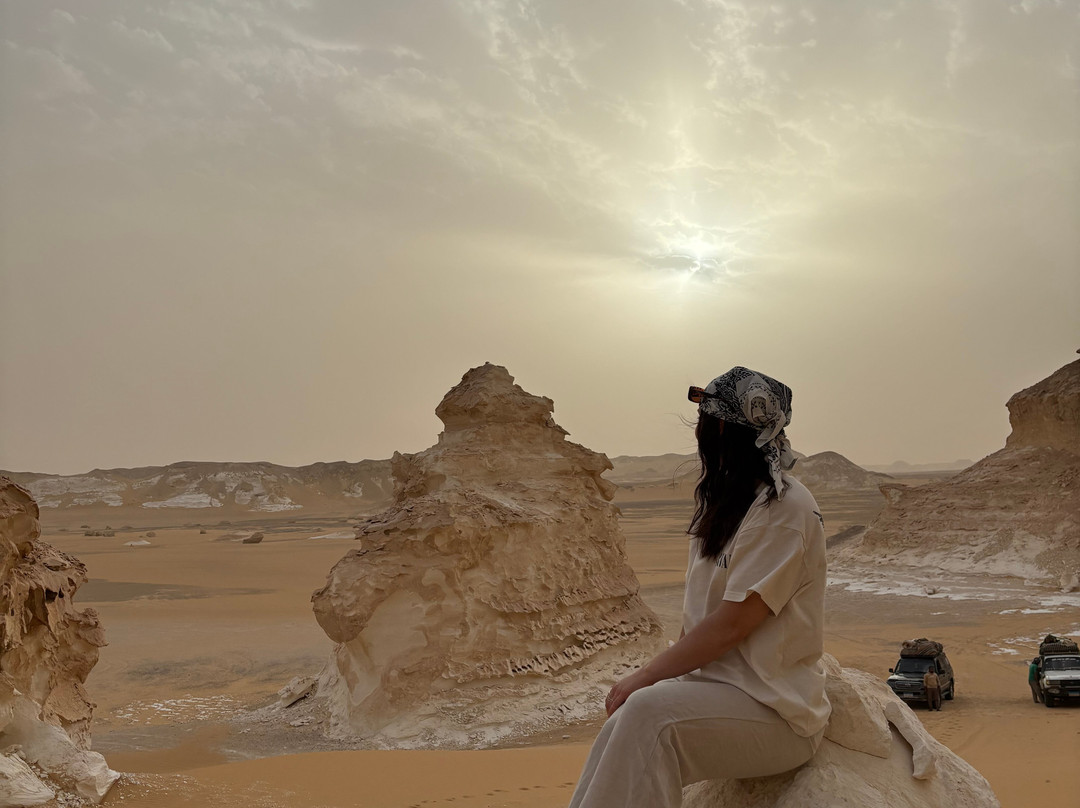 Jimmy Egypt Safari景点图片