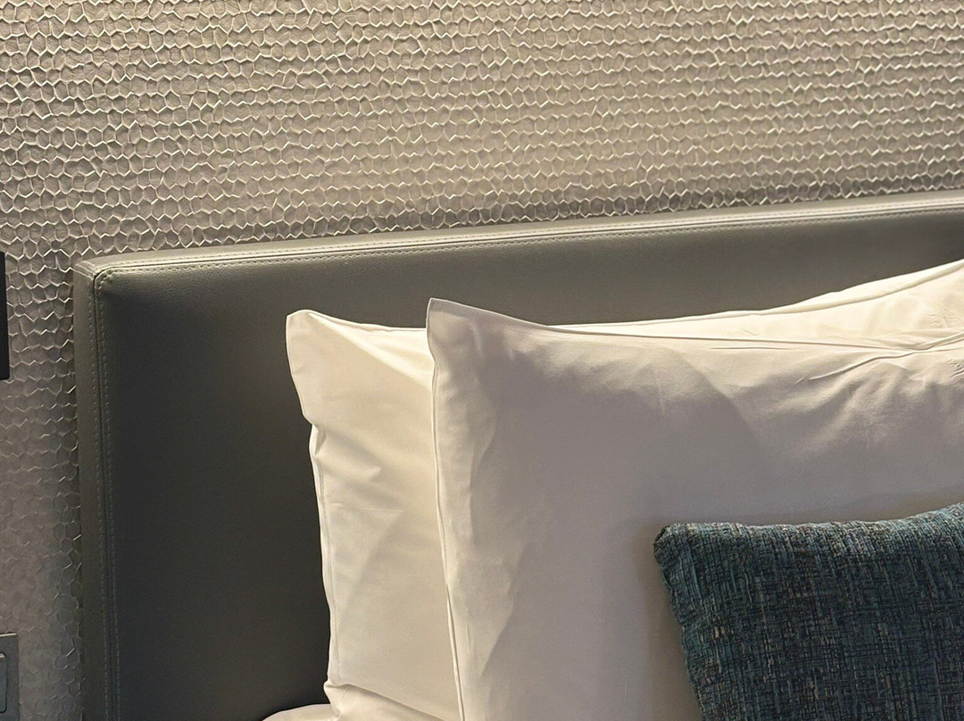 JA The Manor Hotel主图