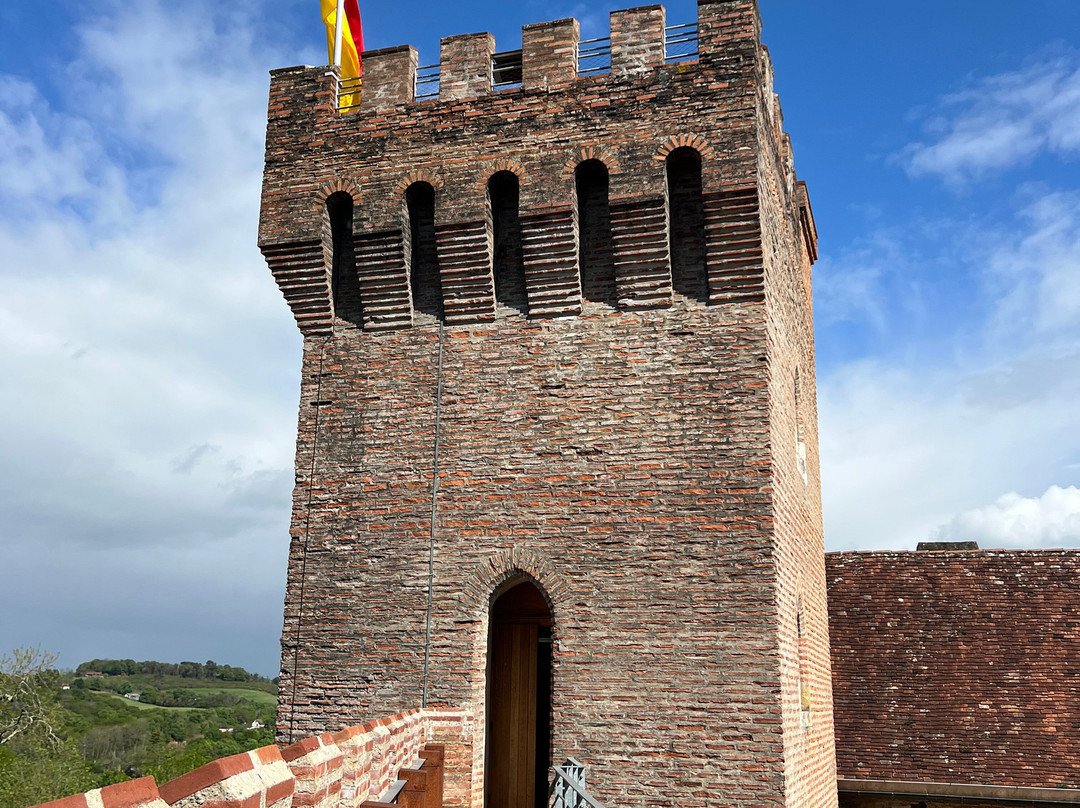 Château De Morlanne景点图片