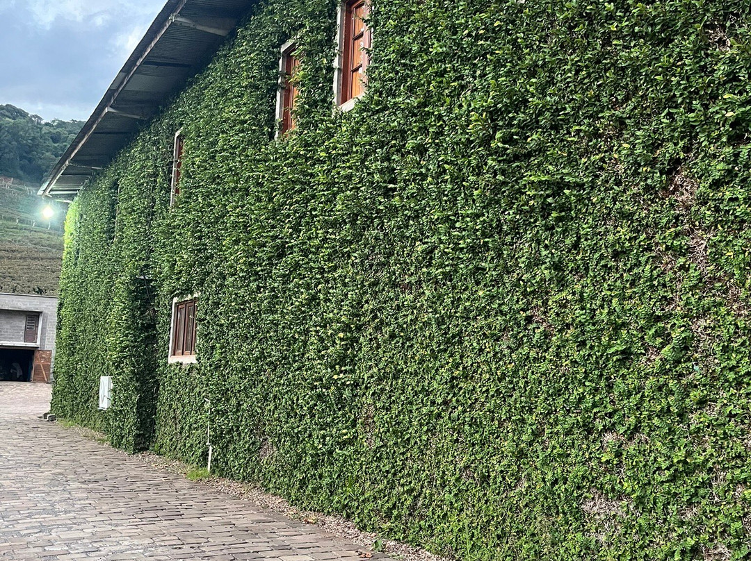 Peculiare Vinhos Únicos-本图贡萨尔维斯必去景点