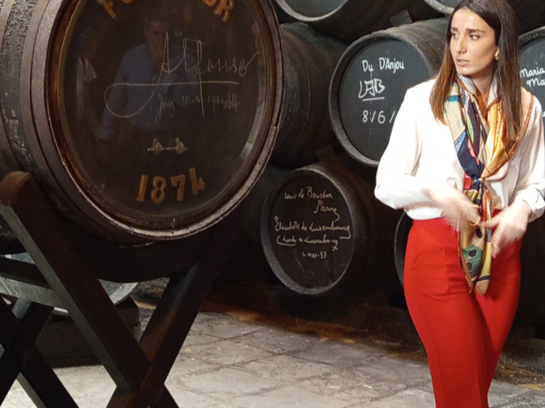 Bodegas Fundador景点图片