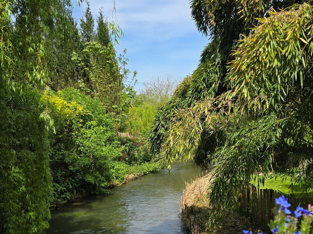 Les jardins de Louanne景点图片