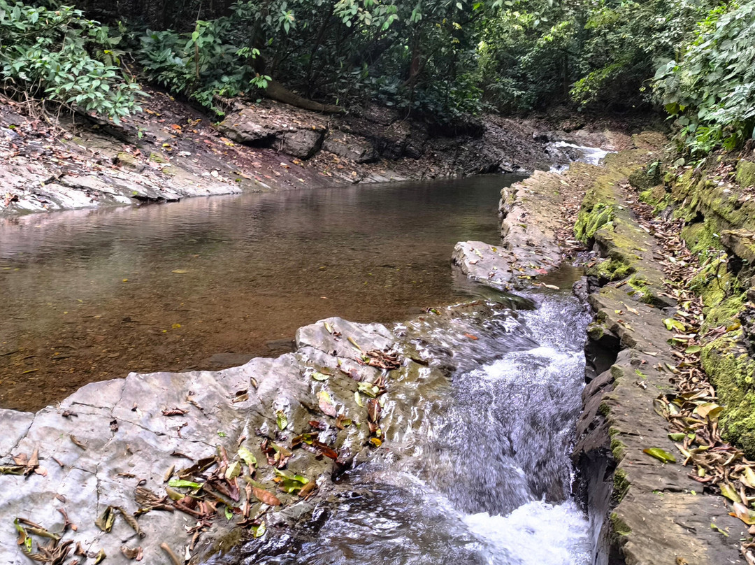 Parque Nacional La Cangreja景点图片