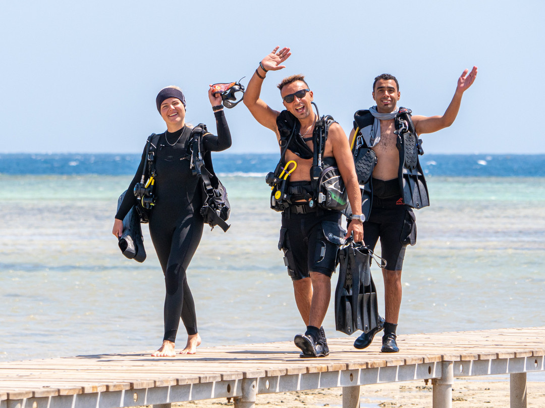 Wadi Lahami Diving Centre-Hamata and Berenice必去景点