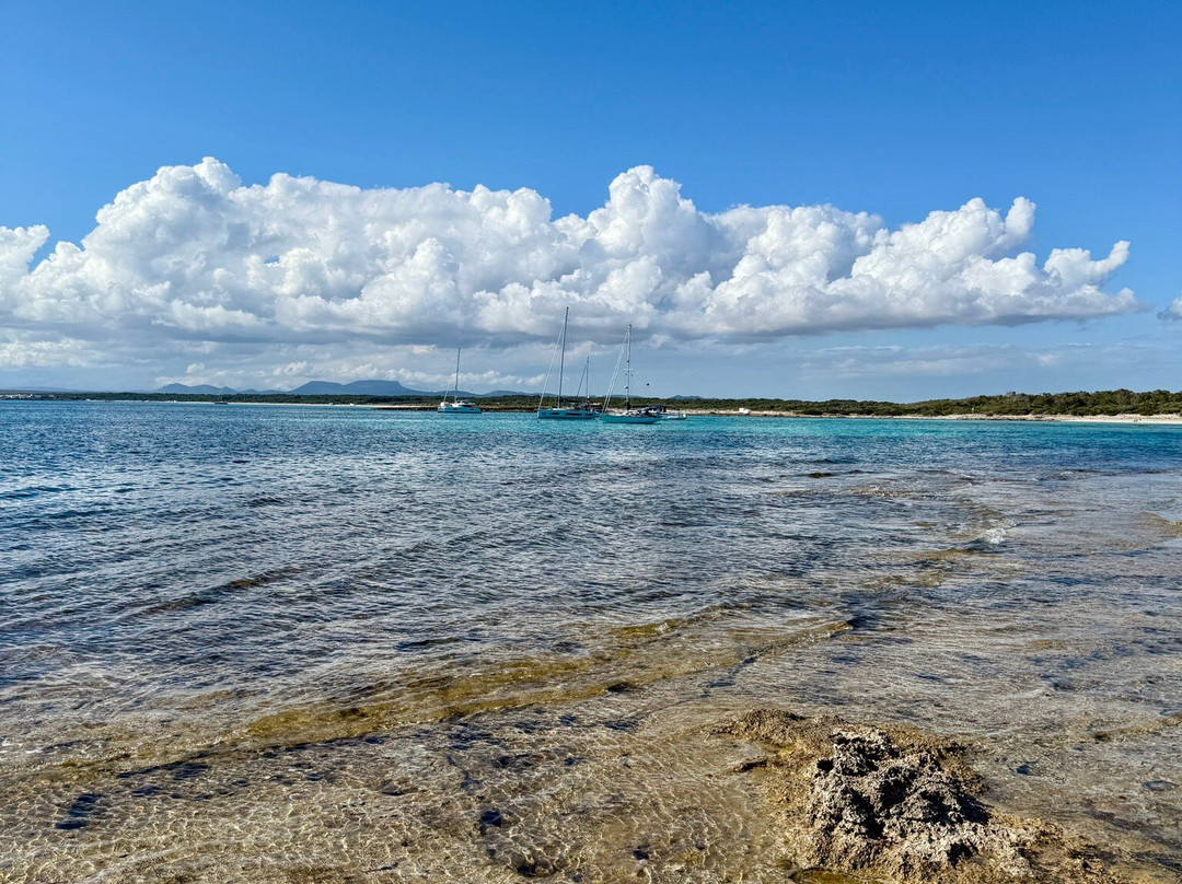 Playa dels Estanys-Colonia de Sant Jordi必去景点