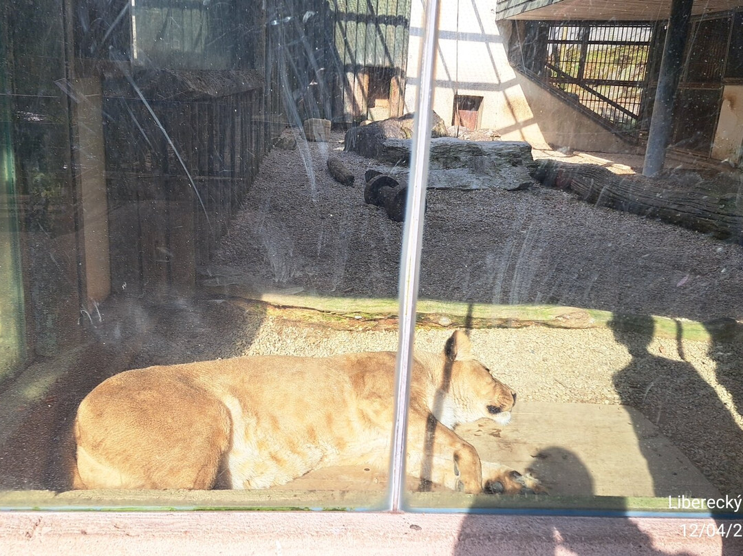 Zoo Liberec-利贝雷茨必去景点