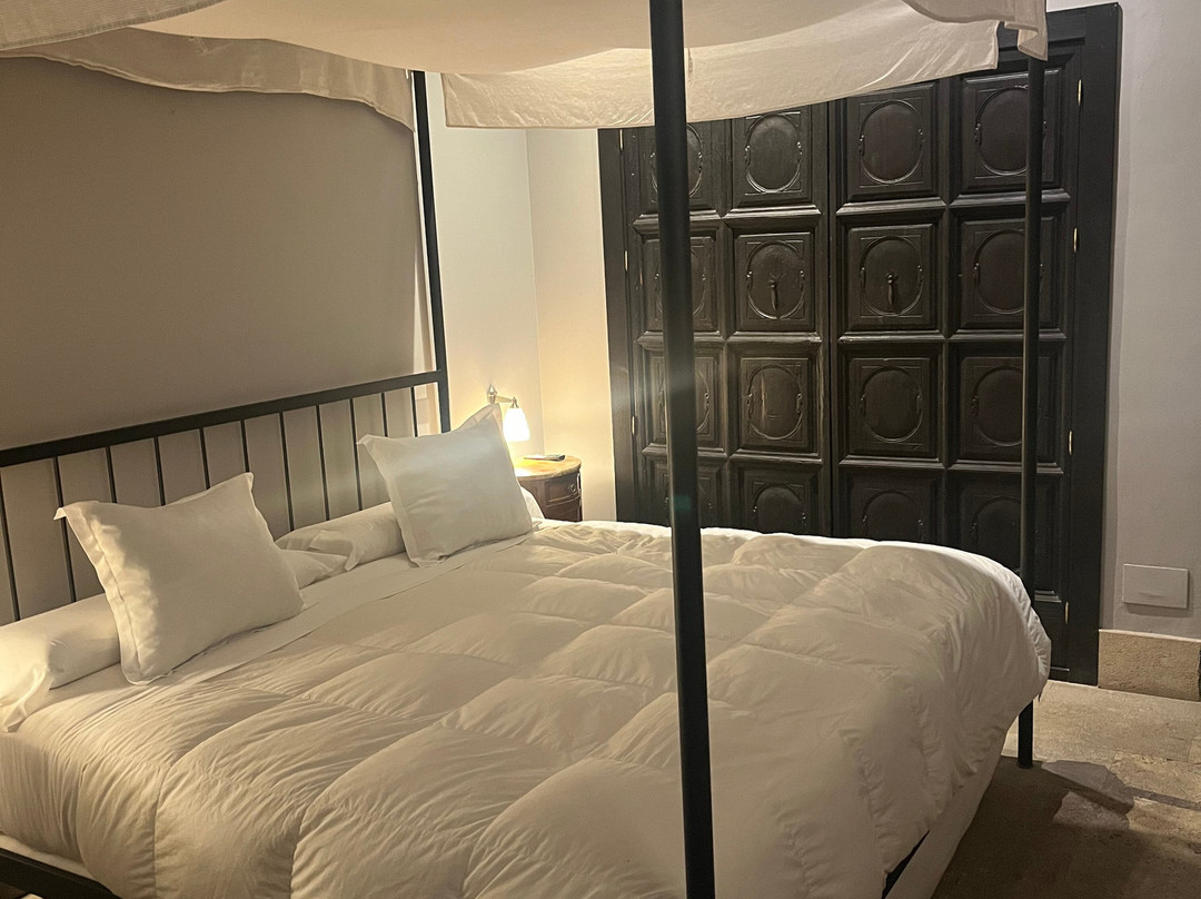 蒙西巴尔宫酒店主图