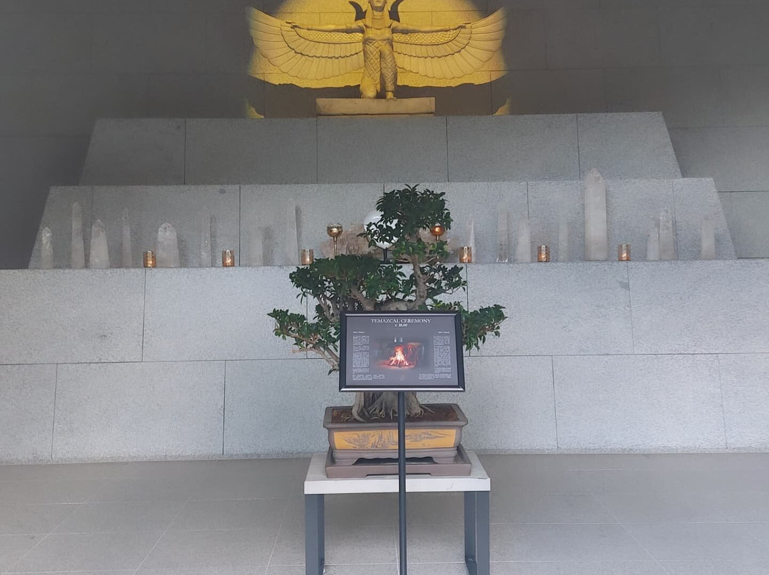 Elaisa Energetic Wellness景点图片