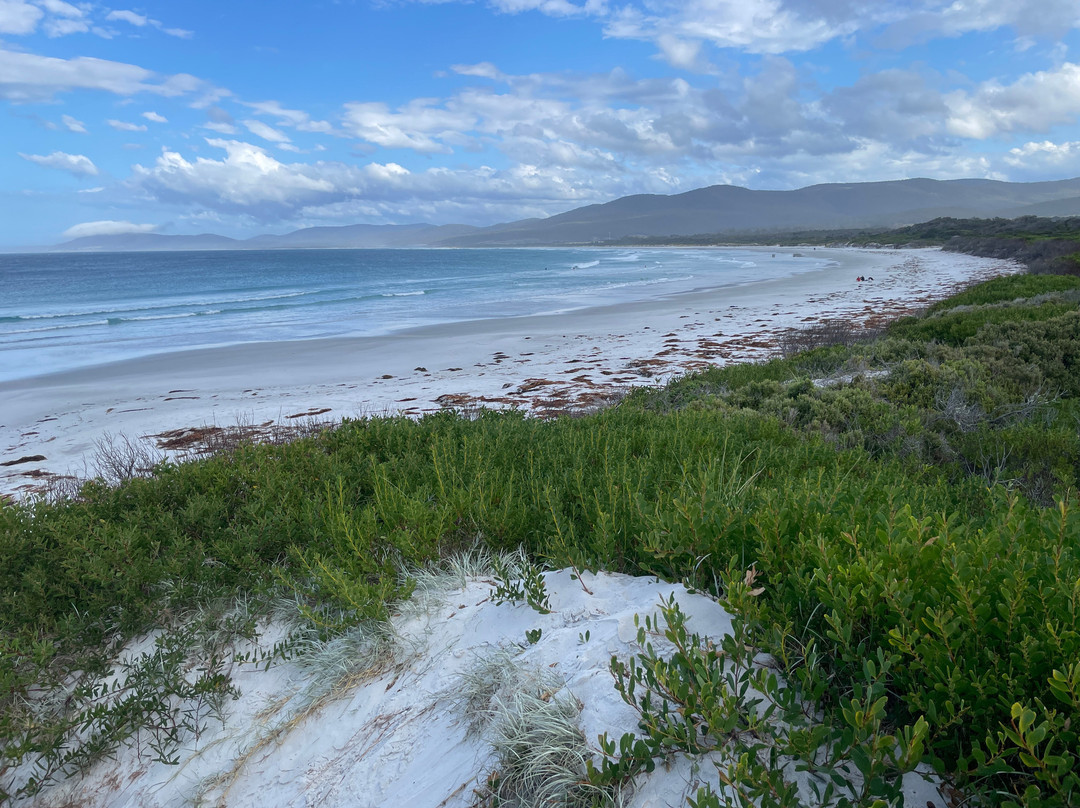 Seymour Beach-比奇诺必去景点