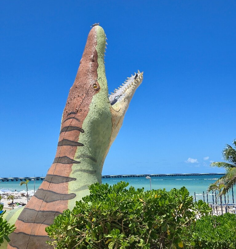 Hotel & Suites Domani主图