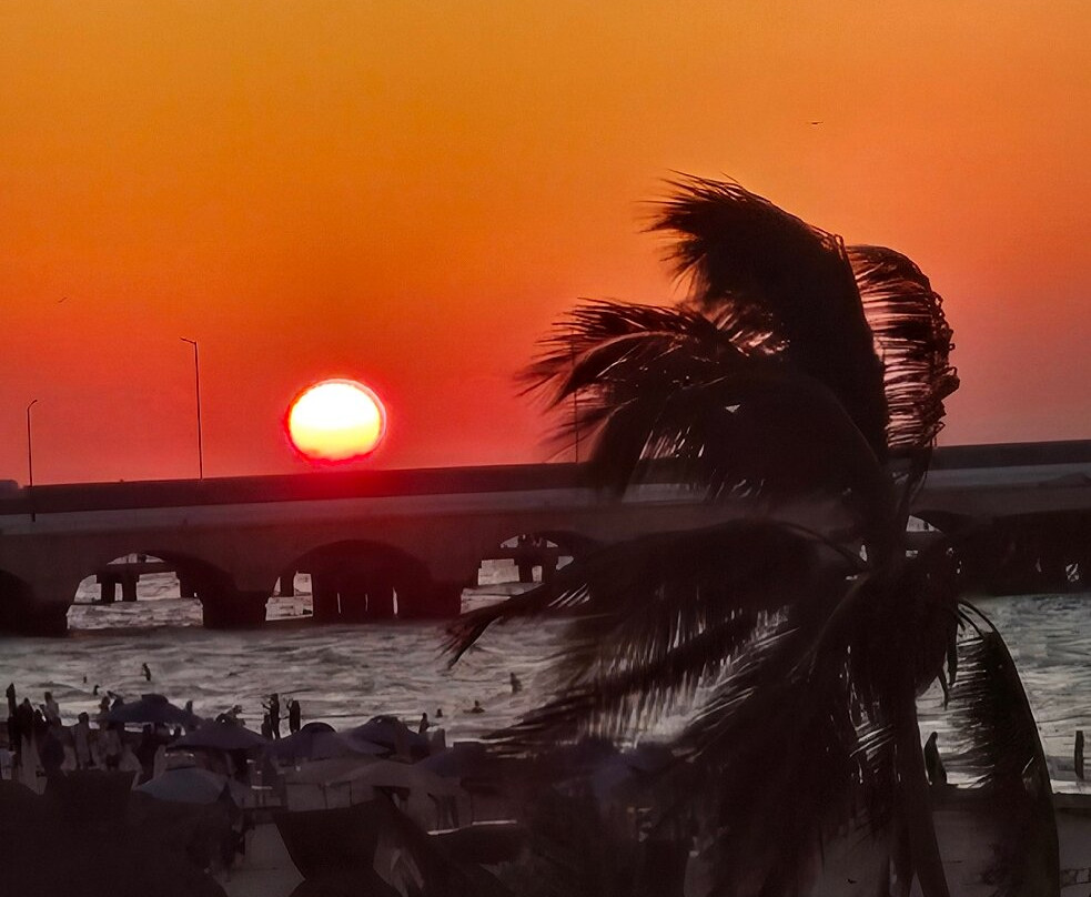 Hotel & Suites Domani主图