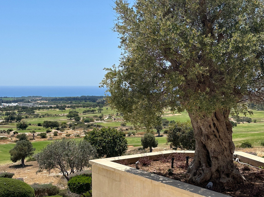 Elea Golf-帕福斯必去景点