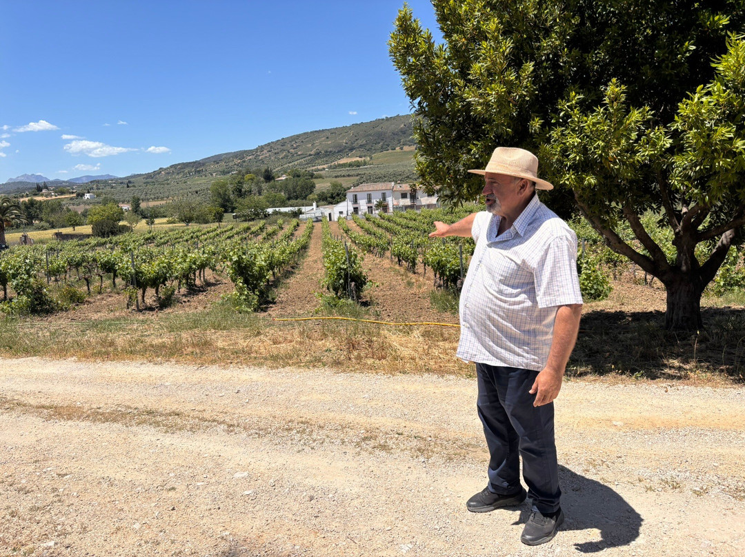 Bodega Garcia Hidalgo-隆达必去景点