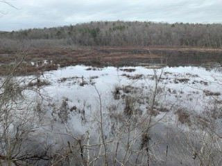Forty Acre Rock-Kershaw必去景点