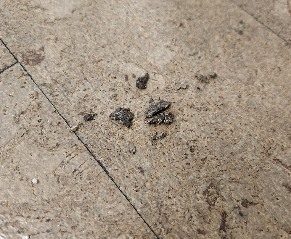 Super 8 by Wyndham Brandon MB主图