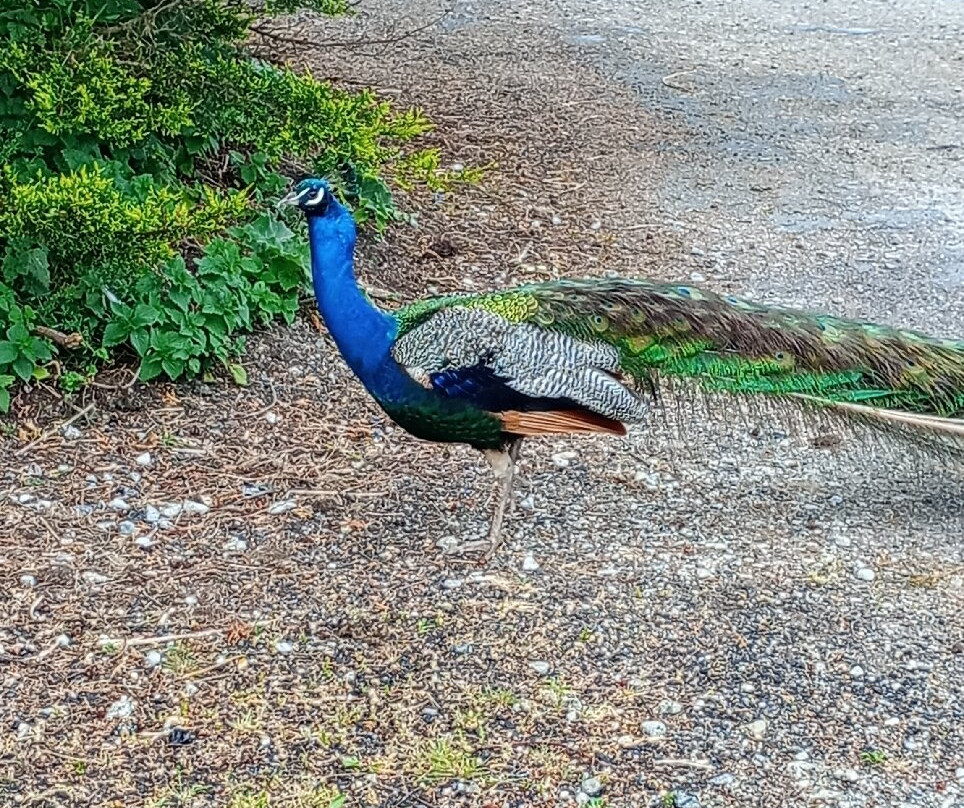 The Water Mill & Museums-Calbourne必去景点