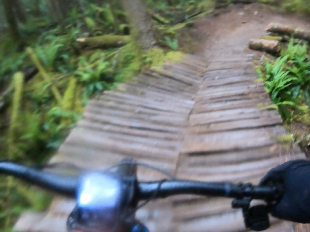 RideHub景点图片