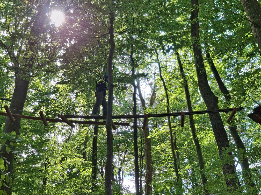 Adventure Bristol景点图片