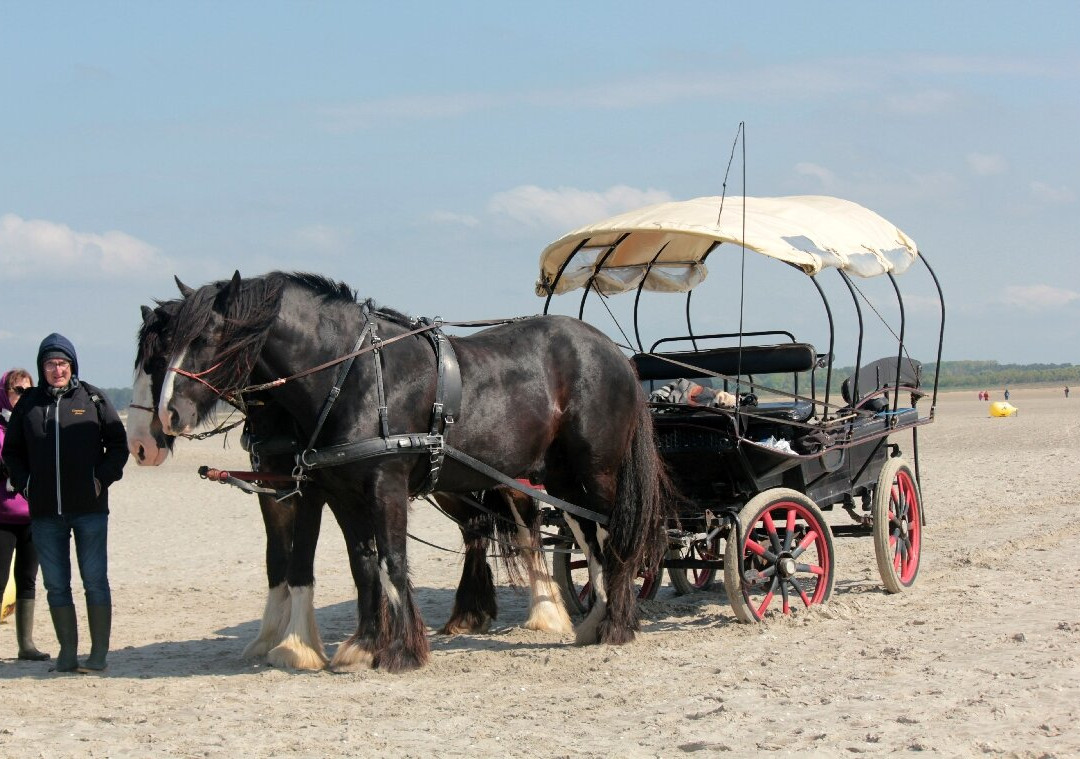 Carriage Outings景点图片