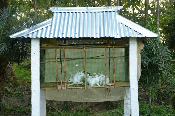 Resort Everest 	(Alipurduar)