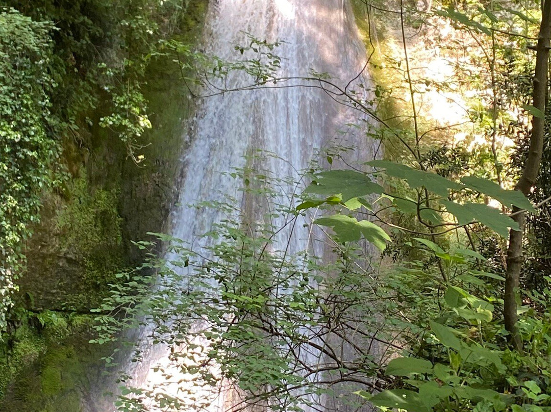 Parco delle Cascate di Molina-Molina必去景点