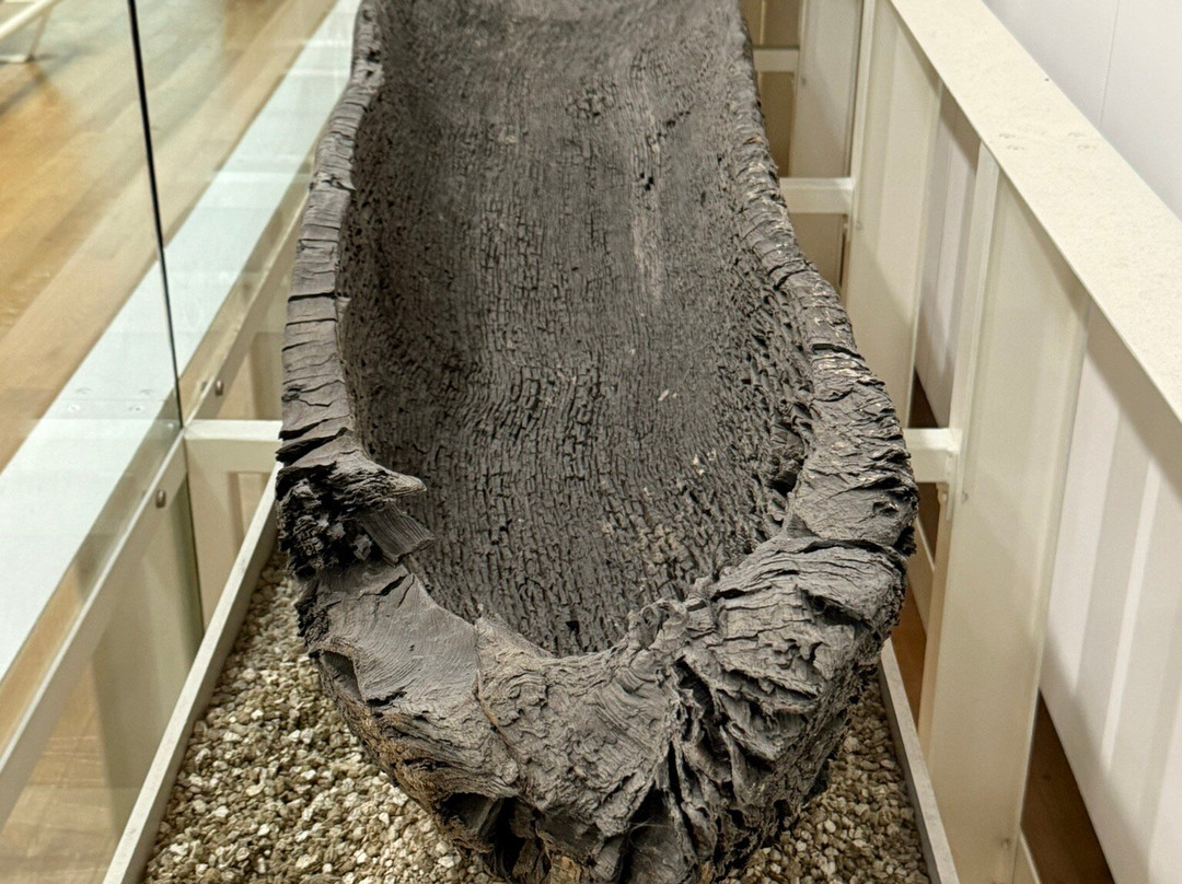 River & Rowing Museum景点图片