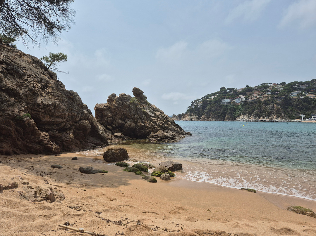 Platja de Canyelles景点图片