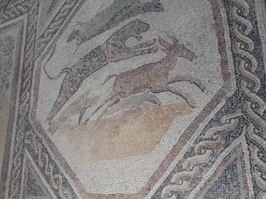Villa Romana ed Antiquarium di Desenzano del Garda-代森扎诺-德尔加达必去景点