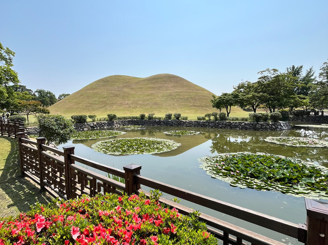 Daereungwon Tomb Complex-庆州市必去景点
