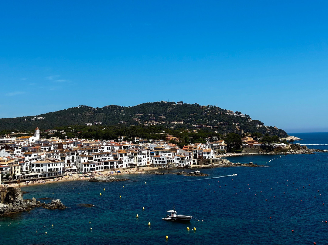 Hotel Sant Roc主图