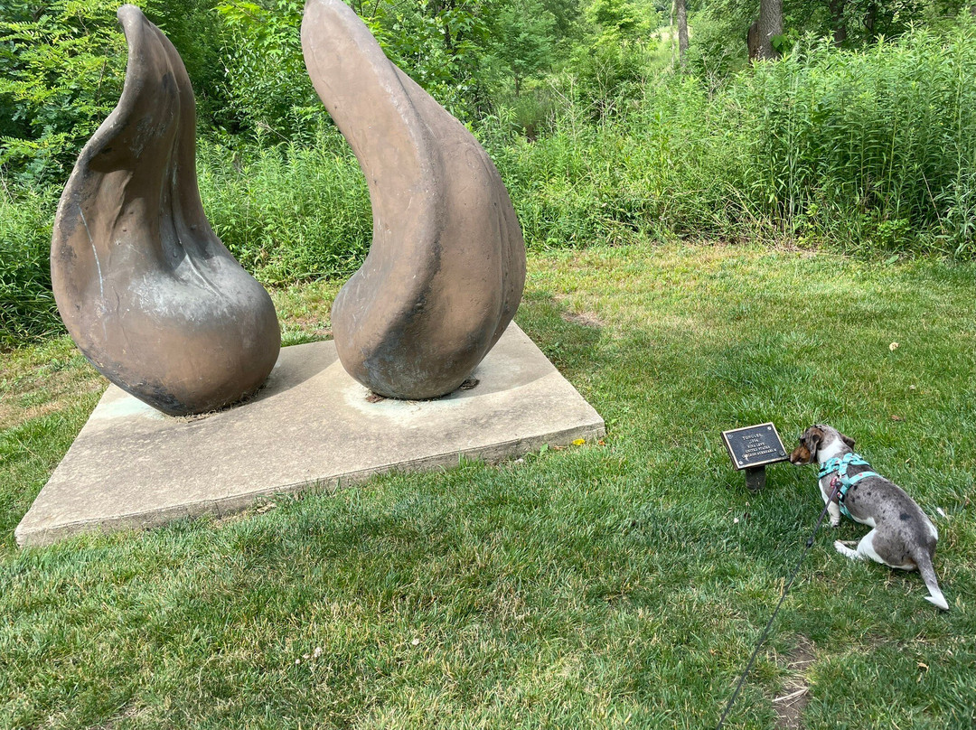 Chicago Athenaeum International Sculpture Park-绍姆堡必去景点