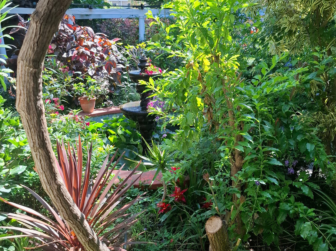 Jardin de Orquideas de Sitio Litre景点图片