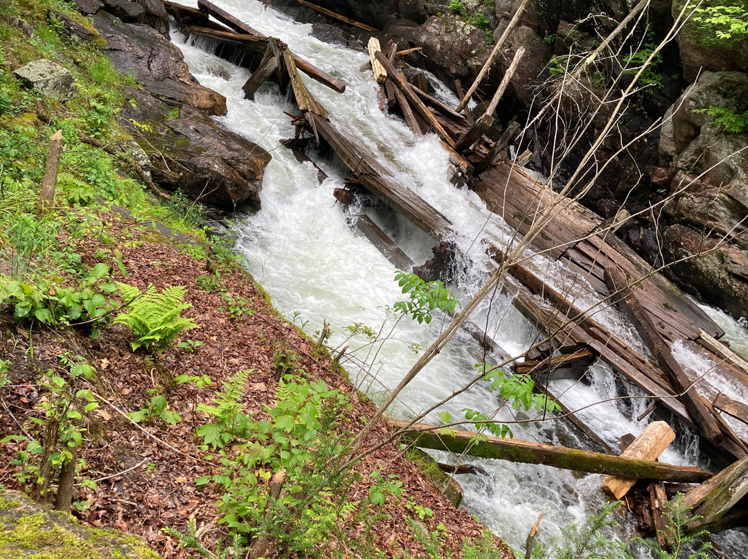 Hawk Lake Log Chute景点图片