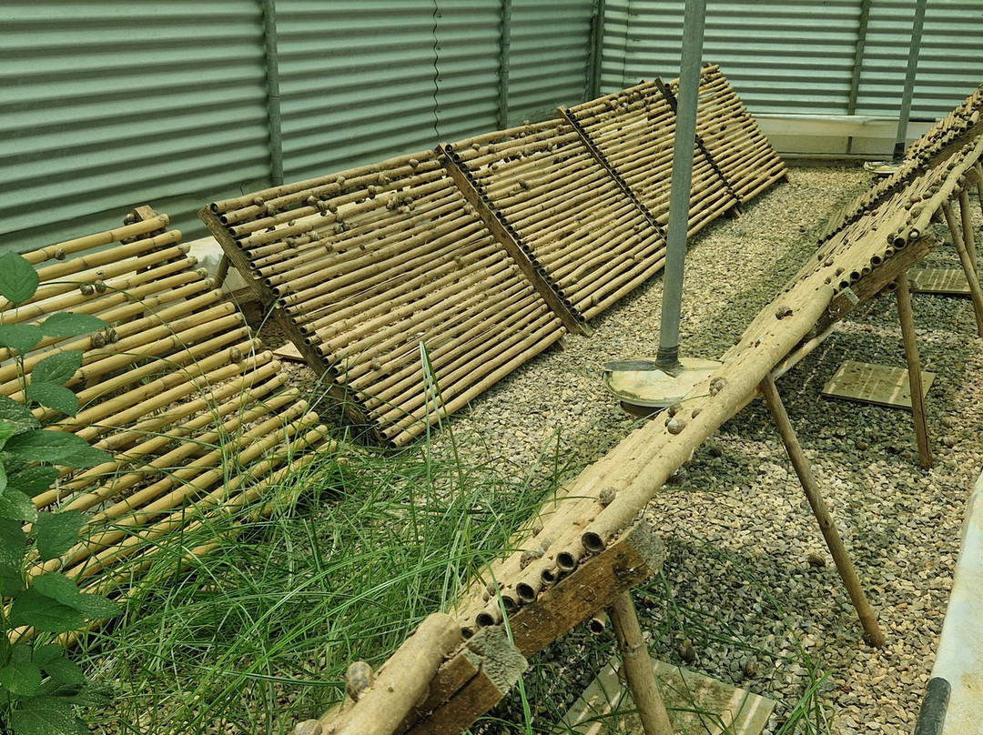Snail Farm And Fun景点图片