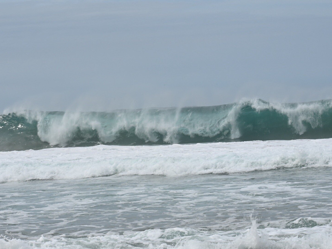 Bahía San Agustín-瓦图尔科必去景点