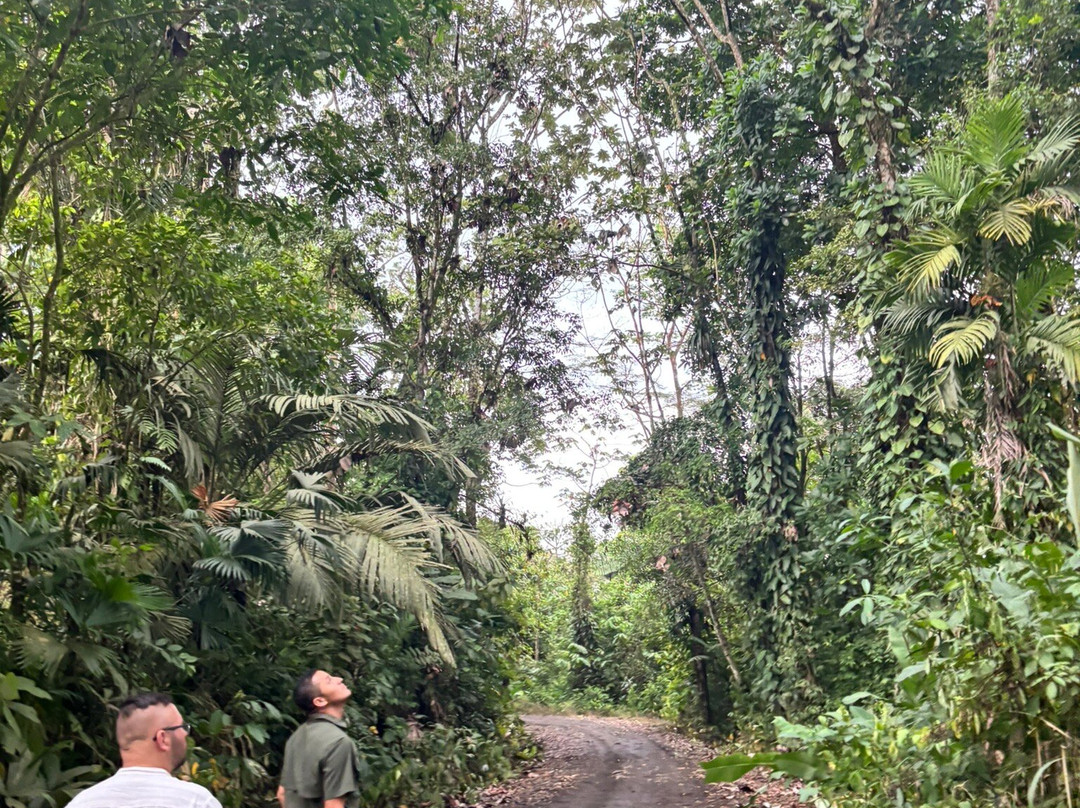 Pacific Trade Winds-Nuevo Arenal必去景点