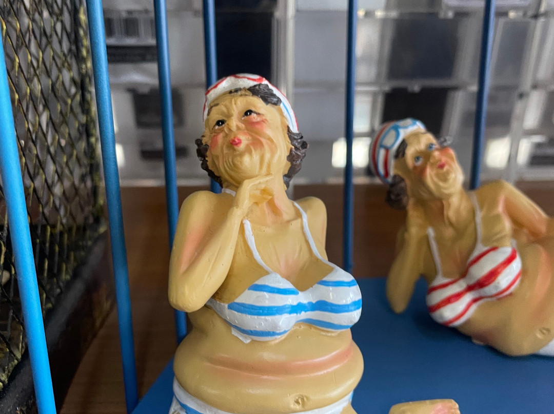 Griffiths' Sea Shell Museum & Marine Display-莱克斯恩特伦斯必去景点