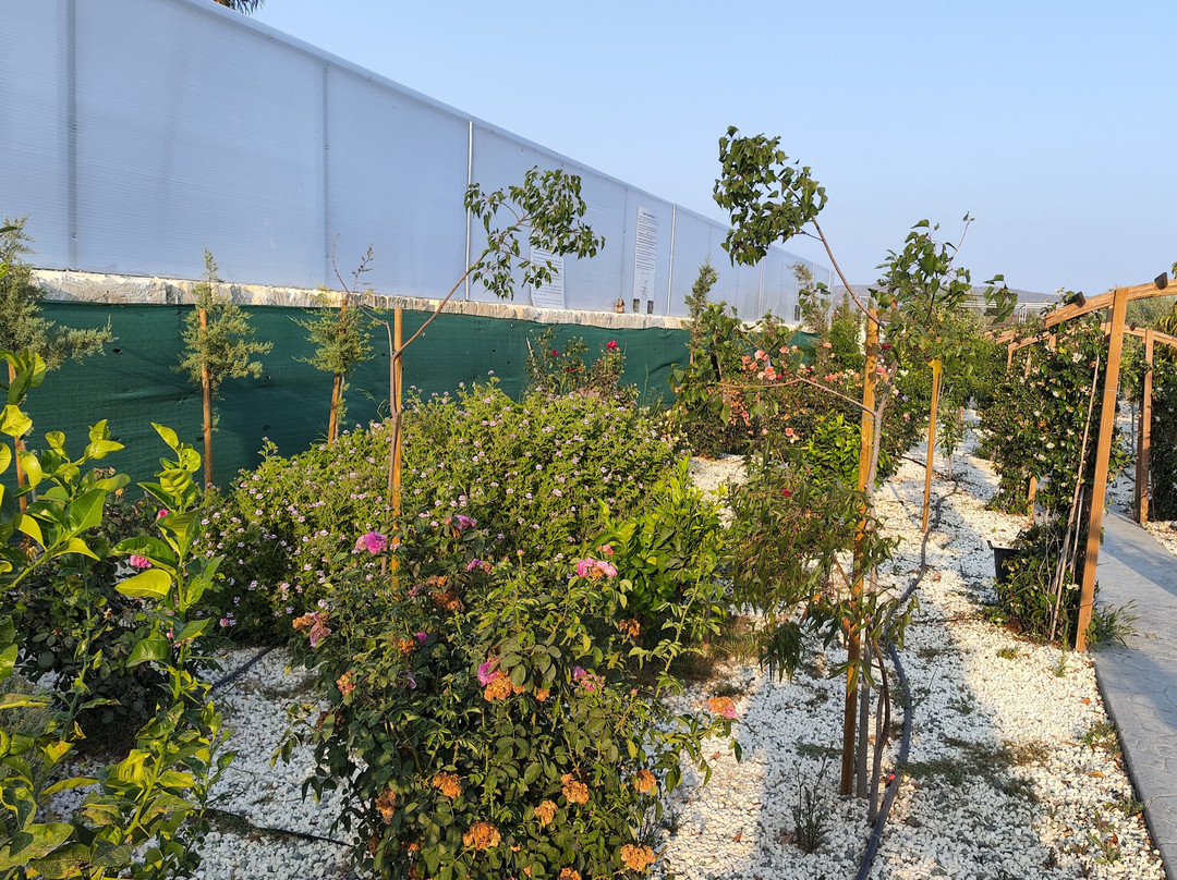 Pyrgos Aroma Herbal Park-Pyrgos必去景点