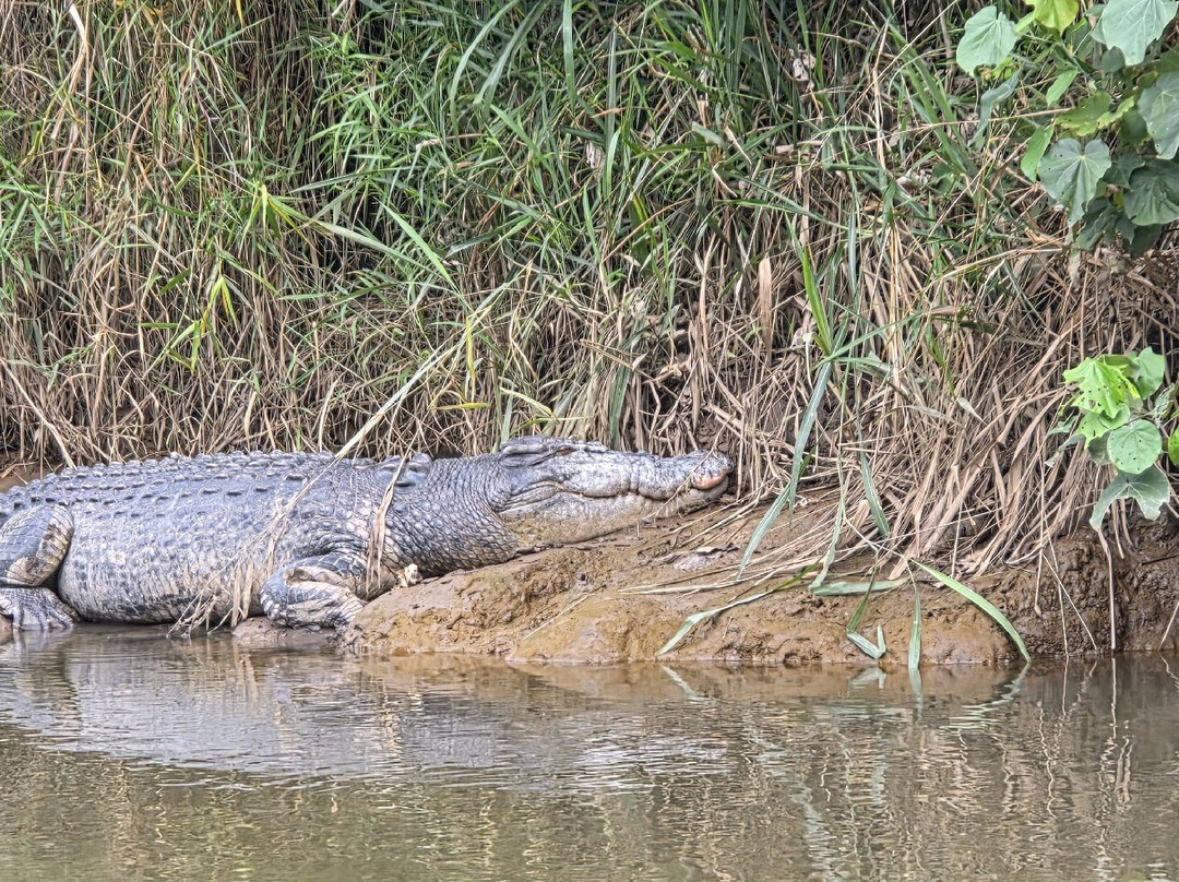 Walkabout Cultural Adventures-Mossman必去景点