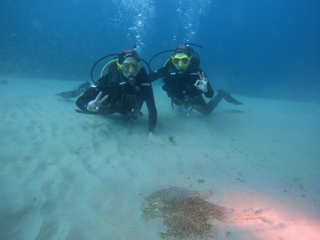 Puerto Buceo-圣玛丽亚港必去景点