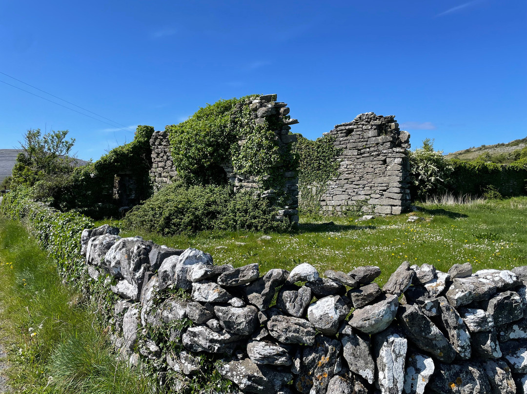 Burren EBike Adventures景点图片