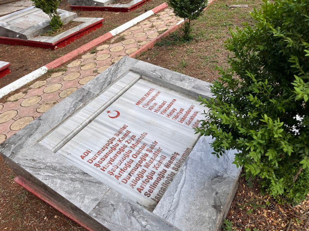 Türk Şehitliği-梅尔辛必去景点