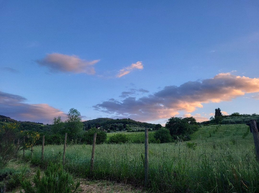 B&B Il Cielo Bio主图