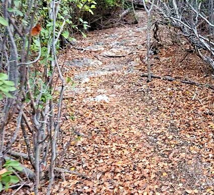 Playa Las Gaviotas-圣玛丽亚岛必去景点