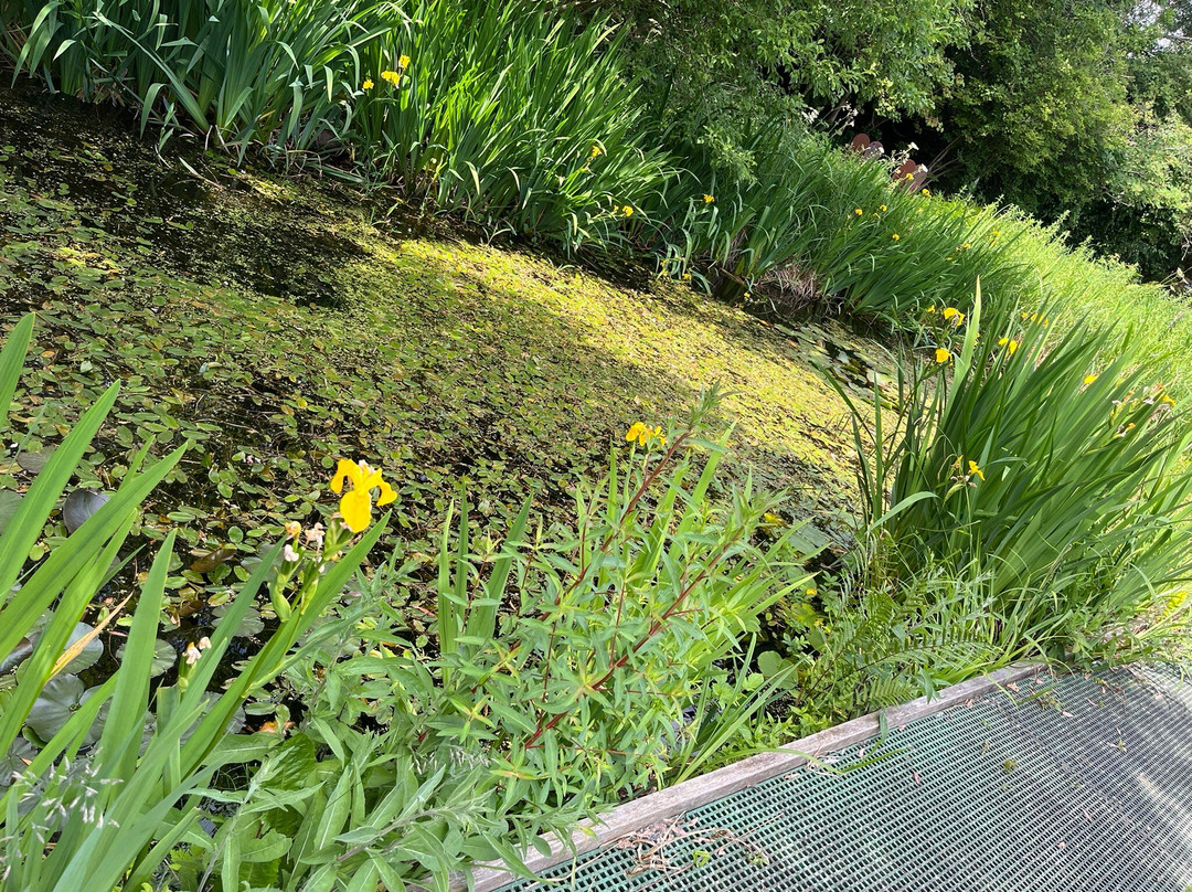 Castle Eden Dene Nnr-Peterlee必去景点